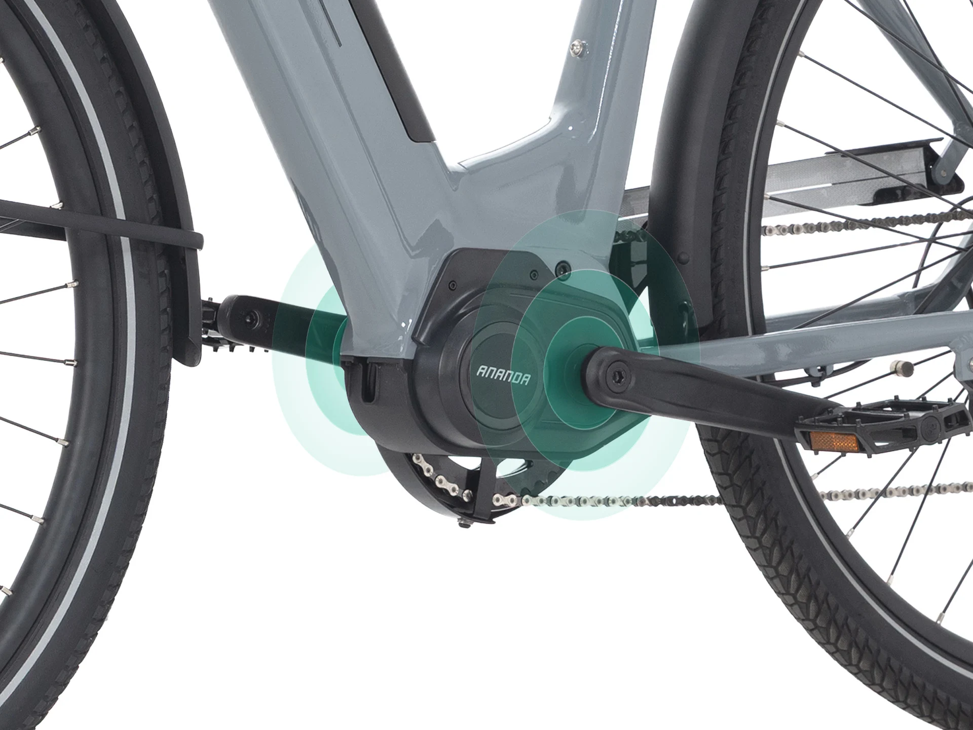 Torque Sensor