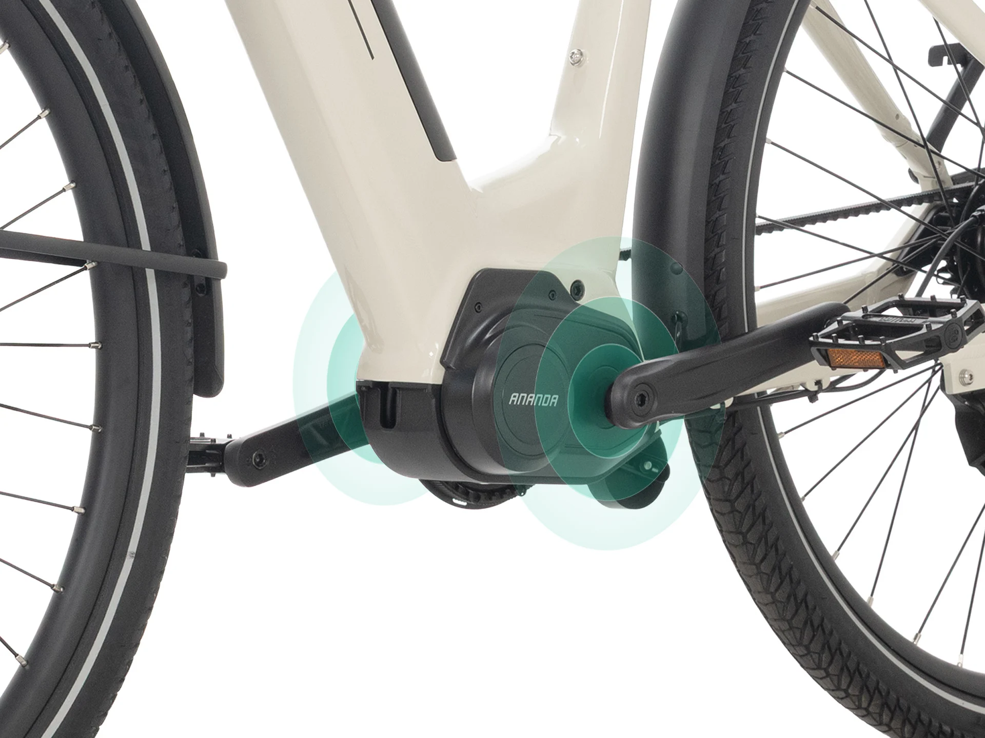 Torque Sensor
